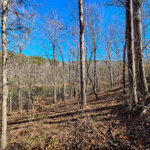 Photo #25 of 3562 Summerset Road North, Gretna, VA 1.2 acres