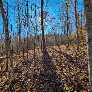 Photo #28 of 3562 Summerset Road North, Gretna, VA 1.2 acres