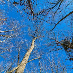 Photo #29 of 3562 Summerset Road North, Gretna, VA 1.2 acres