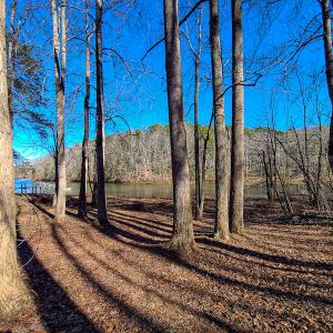 Photo #30 of 3562 Summerset Road North, Gretna, VA 1.2 acres