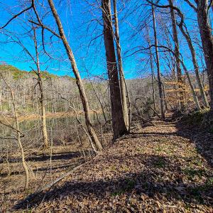 Photo #31 of 3562 Summerset Road North, Gretna, VA 1.2 acres