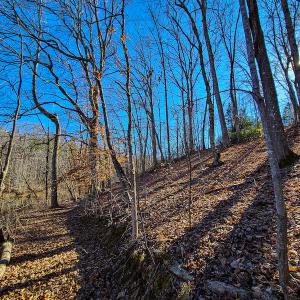Photo #33 of 3562 Summerset Road North, Gretna, VA 1.2 acres