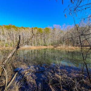 Photo #34 of 3562 Summerset Road North, Gretna, VA 1.2 acres