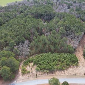 Photo #10 of SOLD property in Off Ashby Road, Exmore, VA 14.3 acres