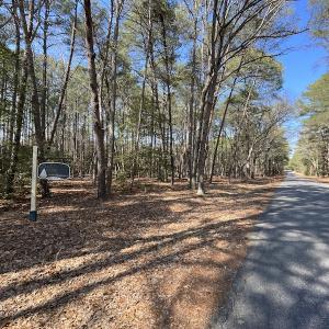 Photo #13 of SOLD property in Off Ashby Road, Exmore, VA 14.3 acres