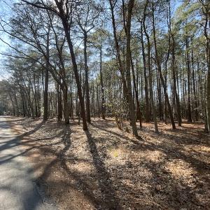 Photo #14 of SOLD property in Off Ashby Road, Exmore, VA 14.3 acres