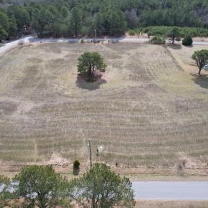 Photo #31 of SOLD property in Off Ashby Road, Exmore, VA 14.3 acres