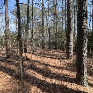 Photo #19 of SOLD property in Off Ashby Road, Exmore, VA 14.3 acres