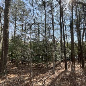 Photo #20 of SOLD property in Off Ashby Road, Exmore, VA 14.3 acres