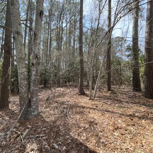 Photo #21 of SOLD property in Off Ashby Road, Exmore, VA 14.3 acres