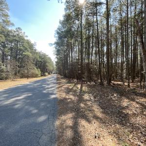 Photo #24 of SOLD property in Off Ashby Road, Exmore, VA 14.3 acres