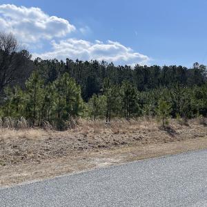 Photo #25 of SOLD property in Off Ashby Road, Exmore, VA 14.3 acres