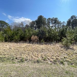 Photo #26 of SOLD property in Off Ashby Road, Exmore, VA 14.3 acres