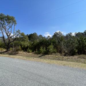 Photo #28 of SOLD property in Off Ashby Road, Exmore, VA 14.3 acres