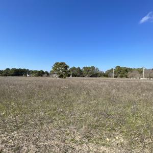 Photo #29 of SOLD property in Off Ashby Road, Exmore, VA 14.3 acres