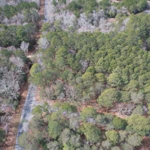 Photo #3 of SOLD property in Off Ashby Road, Exmore, VA 14.3 acres