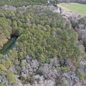 Photo #4 of SOLD property in Off Ashby Road, Exmore, VA 14.3 acres