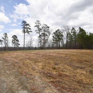Photo #5 of SOLD property in 126 River Bluff Drive, Winton, NC 0.8 acres