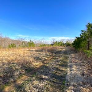 Photo #6 of SOLD property in Off Desha Road, Tappahannock, VA 5.7 acres
