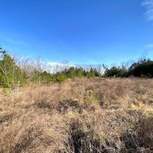 Photo #7 of SOLD property in Off Desha Road, Tappahannock, VA 5.7 acres