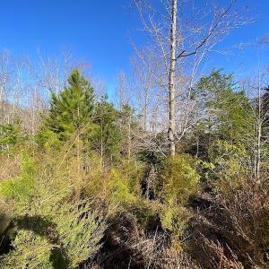 Photo #10 of SOLD property in Off Desha Road, Tappahannock, VA 5.7 acres