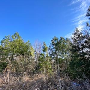 Photo #12 of SOLD property in Off Desha Road, Tappahannock, VA 5.7 acres
