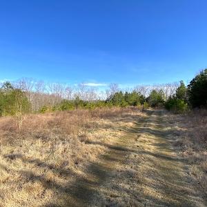 Photo #15 of SOLD property in Off Desha Road, Tappahannock, VA 5.7 acres
