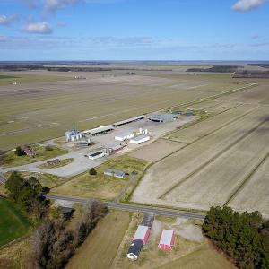 Photo #11 of 2815 North Gum Neck Road, Columbia, NC 1,548.0 acres