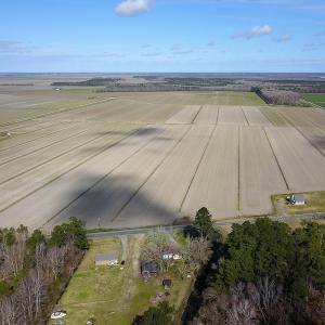 Photo #12 of 2815 North Gum Neck Road, Columbia, NC 1,548.0 acres