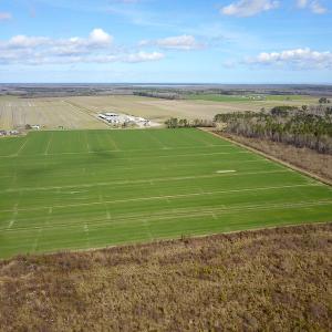 Photo #15 of 2815 North Gum Neck Road, Columbia, NC 1,548.0 acres