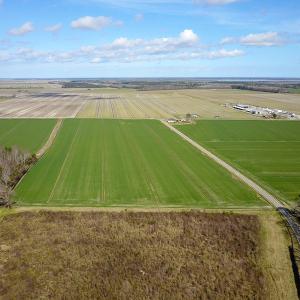 Photo #16 of 2815 North Gum Neck Road, Columbia, NC 1,548.0 acres