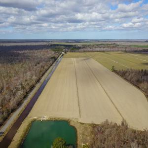 Photo #17 of 2815 North Gum Neck Road, Columbia, NC 1,548.0 acres