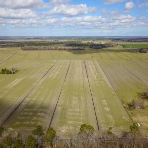 Photo #18 of 2815 North Gum Neck Road, Columbia, NC 1,548.0 acres