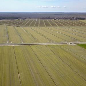 Photo #3 of 2815 North Gum Neck Road, Columbia, NC 1,548.0 acres