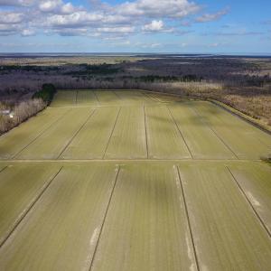 Photo #21 of 2815 North Gum Neck Road, Columbia, NC 1,548.0 acres