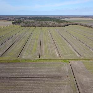 Photo #4 of 2815 North Gum Neck Road, Columbia, NC 1,548.0 acres