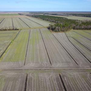 Photo #5 of 2815 North Gum Neck Road, Columbia, NC 1,548.0 acres