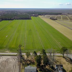 Photo #7 of 2815 North Gum Neck Road, Columbia, NC 1,548.0 acres