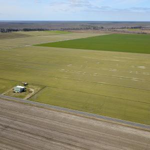 Photo #8 of 2815 North Gum Neck Road, Columbia, NC 1,548.0 acres