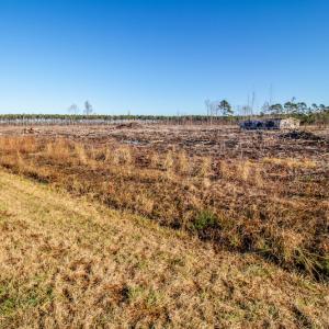 Photo #9 of SOLD property in Off Highway 17, Vanceboro, NC 7.7 acres