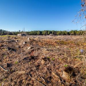 Photo #11 of SOLD property in Off Highway 17, Vanceboro, NC 7.7 acres