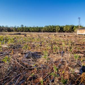 Photo #12 of SOLD property in Off Highway 17, Vanceboro, NC 7.7 acres
