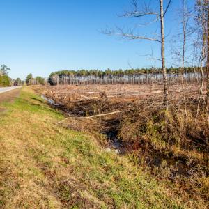 Photo #13 of SOLD property in Off Highway 17, Vanceboro, NC 7.7 acres
