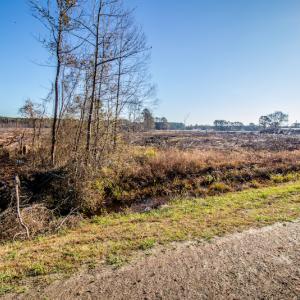 Photo #14 of SOLD property in Off Highway 17, Vanceboro, NC 7.7 acres