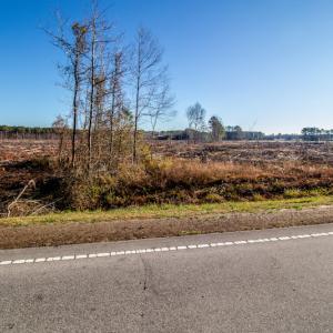 Photo #15 of SOLD property in Off Highway 17, Vanceboro, NC 7.7 acres