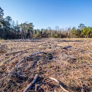 Photo #6 of SOLD property in Off Highway 17, Vanceboro, NC 7.7 acres
