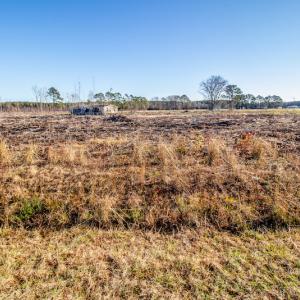 Photo #8 of SOLD property in Off Highway 17, Vanceboro, NC 7.7 acres