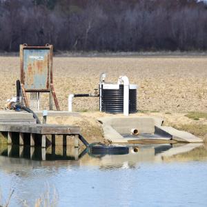 Photo #41 of 2815 North Gum Neck Road, Columbia, NC 1,548.0 acres