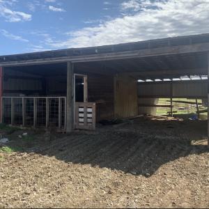 Photo #22 of SOLD property in 35935 NC Highway 561, Hollister, NC 80.0 acres