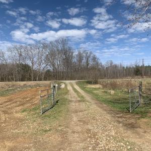 Photo #29 of SOLD property in 35935 NC Highway 561, Hollister, NC 80.0 acres